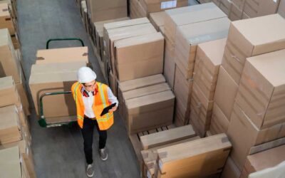 Understanding the Core Differences Between Warehousing and Logistics Services